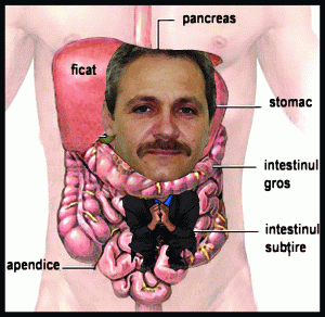 Liviu Dragnea, la Interne Liviu Dragnea, la Interne